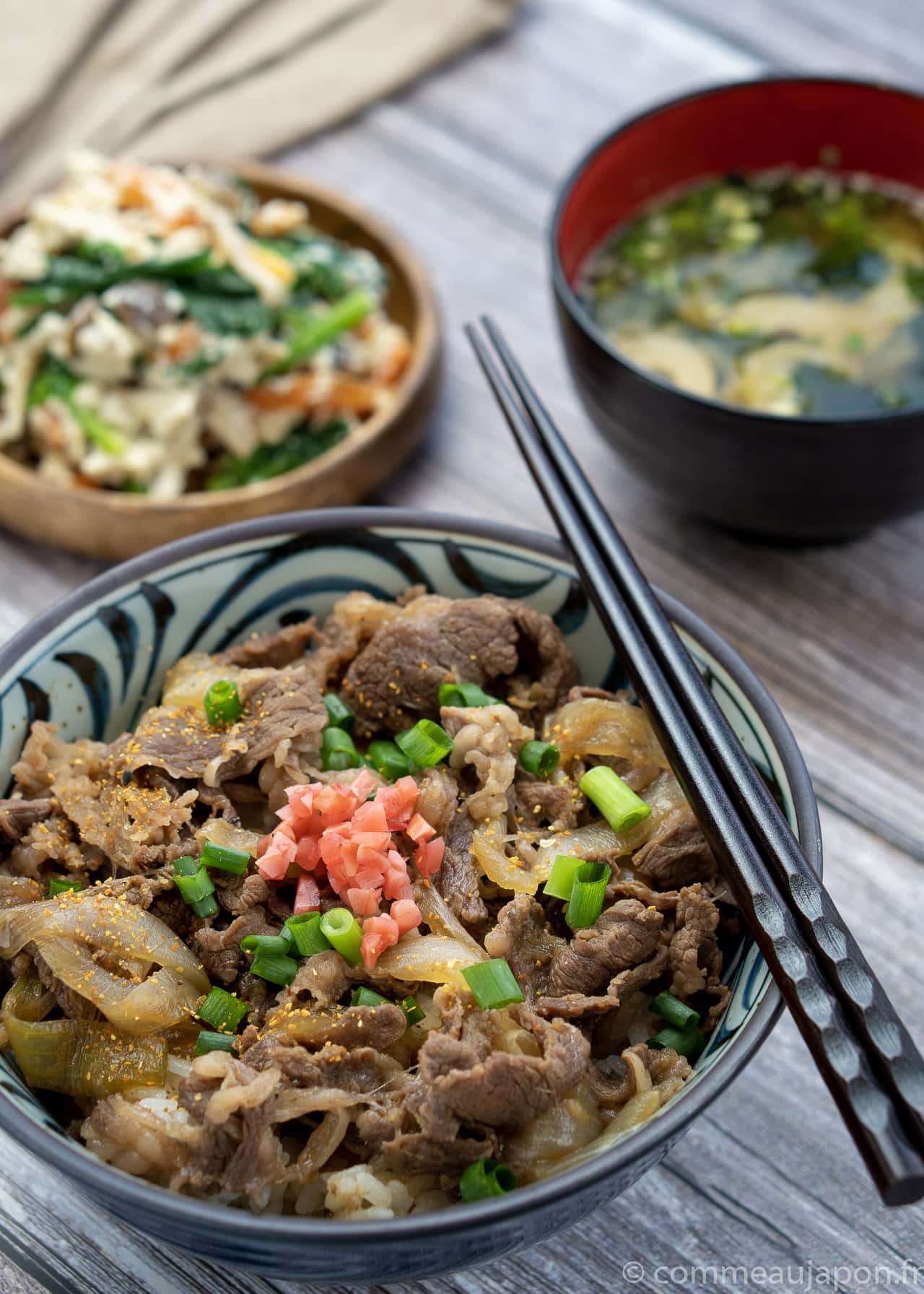 gyudon shirae 2 of 3 Gyudon- Bol de riz et boeuf - 牛丼