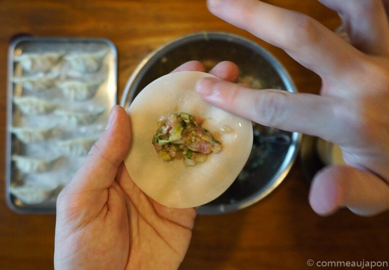 gyozas 1.9.2 Les Gyozas, les raviolis japonais