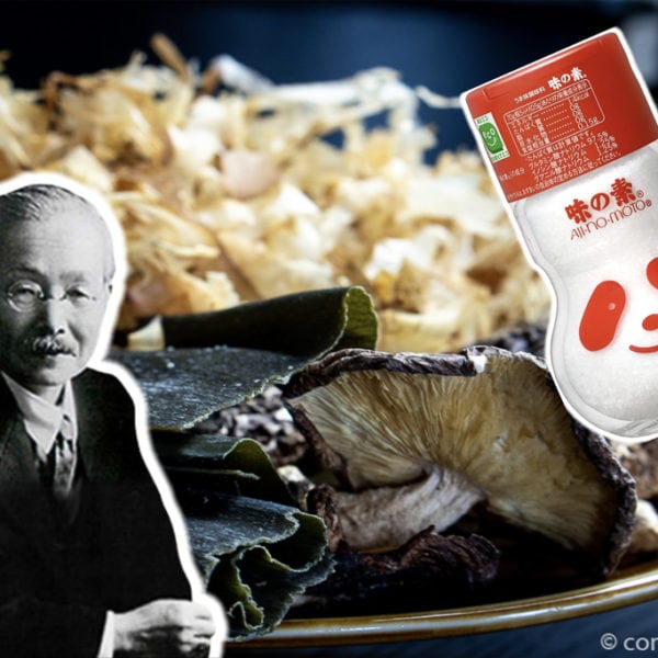 Umami et MSG : Ange et démon ?