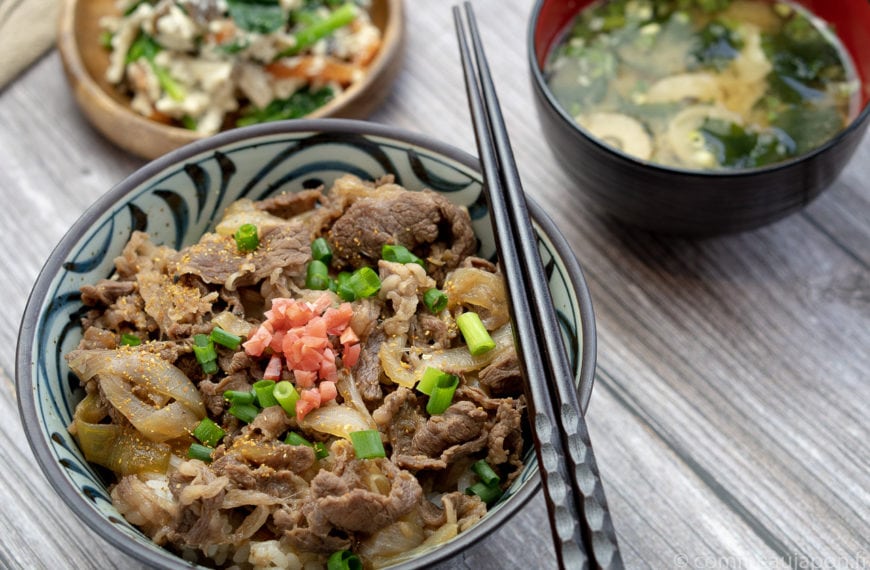 Gyudon- Bol de riz et boeuf – 牛丼